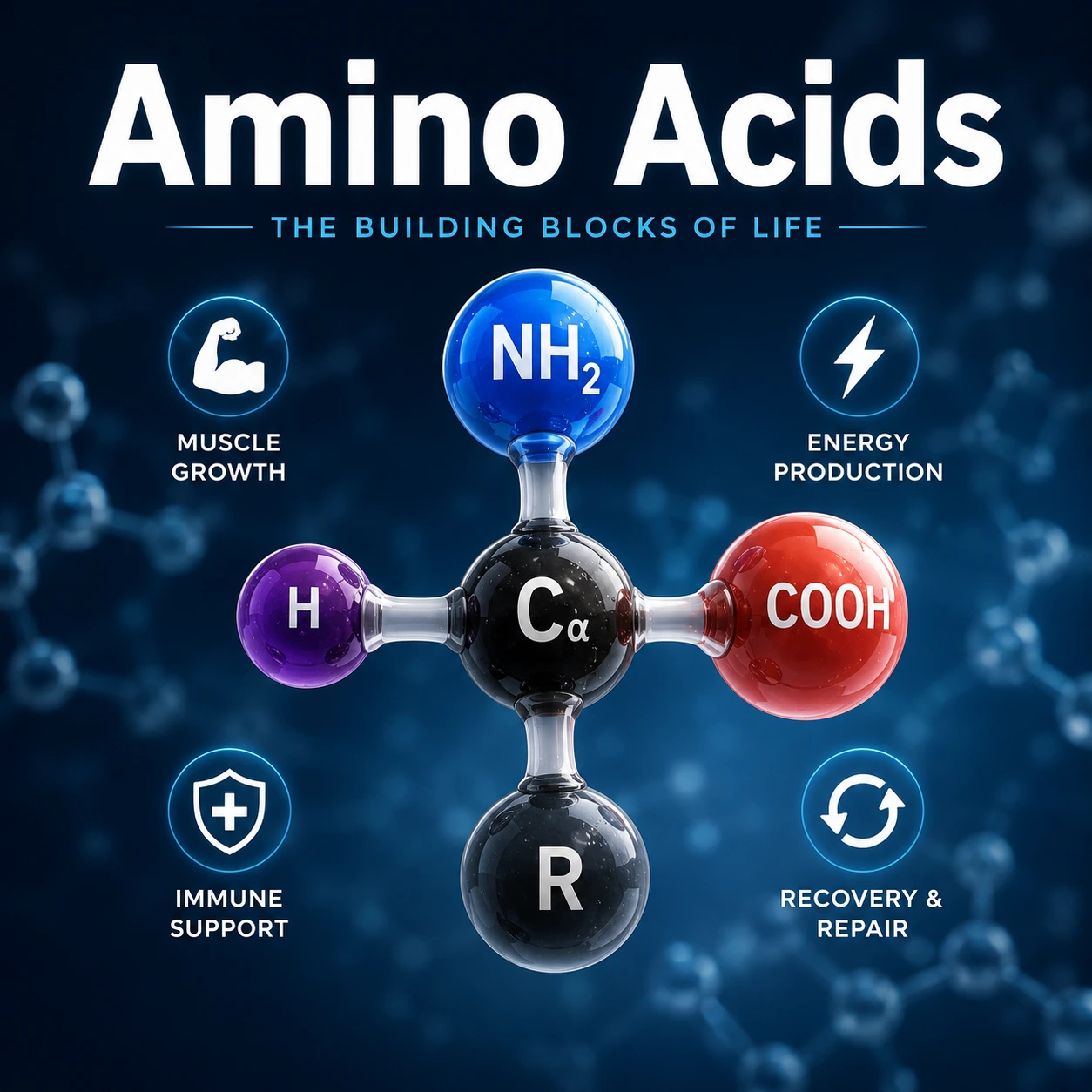 Amino Acids